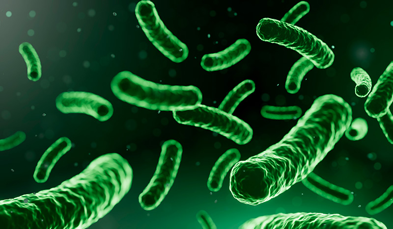 Posbióticos Prebiótico - Probiótico na Dermatologia e estética