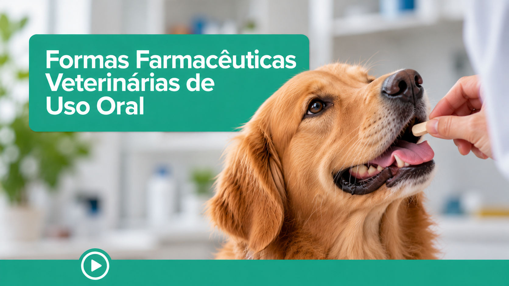 Formas Farmacêuticas Veterinárias de Uso Oral